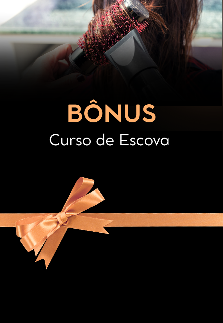 Entregue finalizações impecáveis com escovas profissionais que encantam e fidelizam suas clientes.